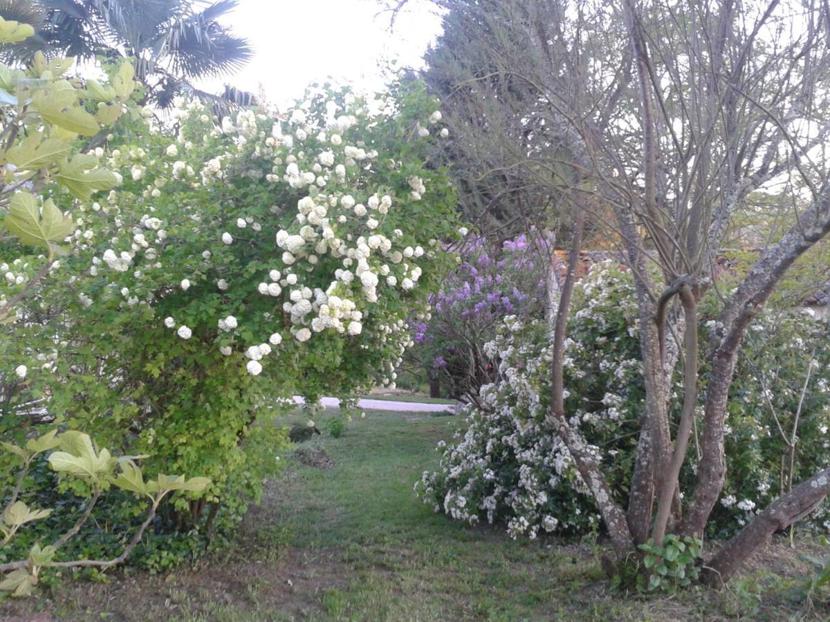 Le Logis Du Pradet Bed & Breakfast Moncrabeau Dış mekan fotoğraf